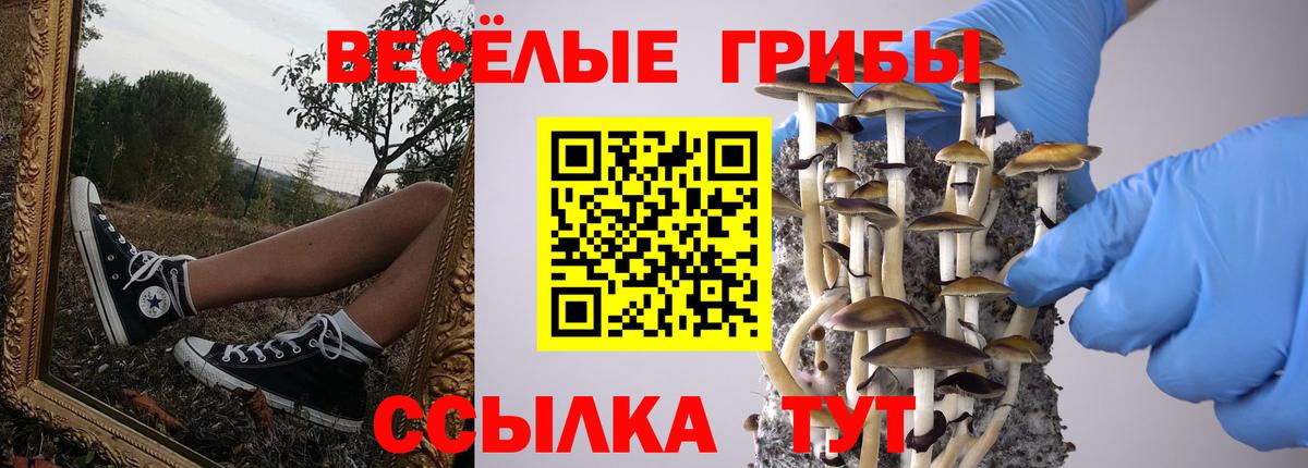 Галлюциногенные грибы MAGIC MUSHROOMS Ульяновск