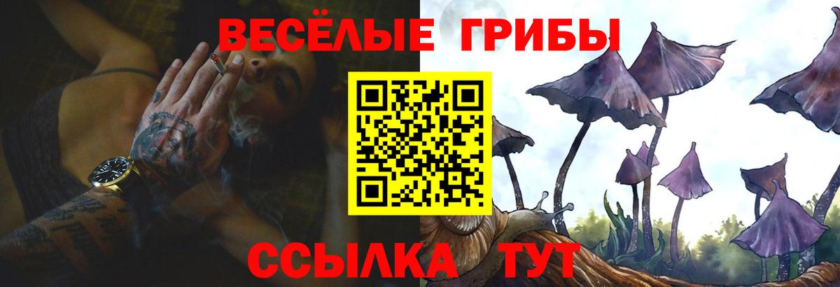 Галлюциногенные грибы Psilocybe  Вход с VPN  Ульяновск 